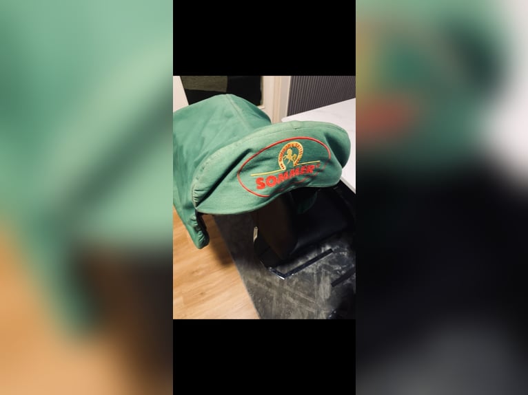 Nur heute Sommer Esprit springsattel 17