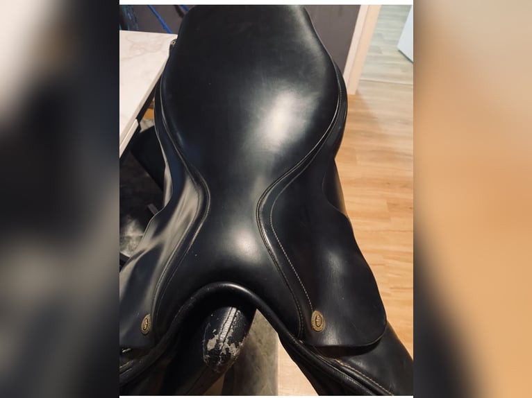 Nur heute Sommer Esprit springsattel 17