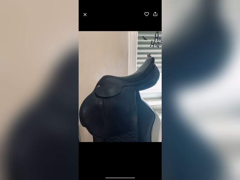 Nur heute Sommer Esprit springsattel 17