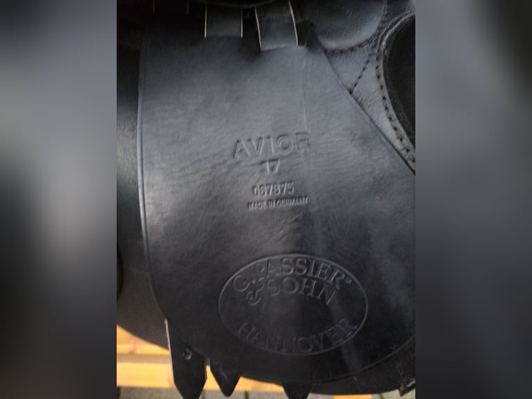 Passier Avior schwarz 17/27,5