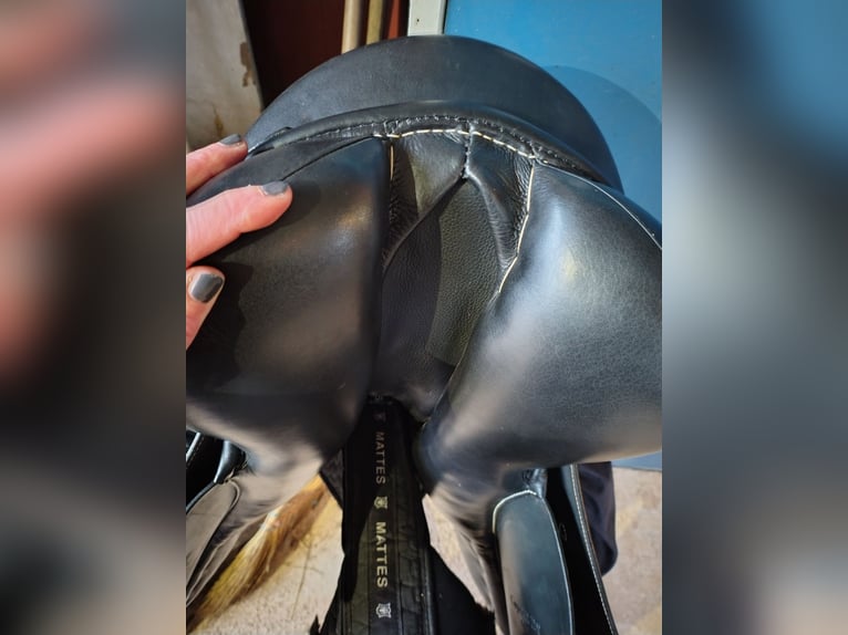 Passier Caprilli DS 17,5