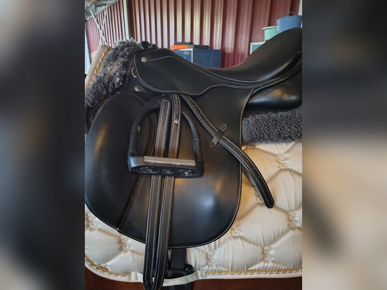 Passier Caprilli DS 17,5