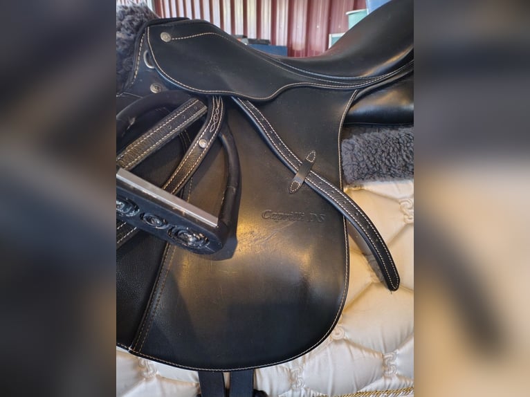 Passier Caprilli DS 17,5