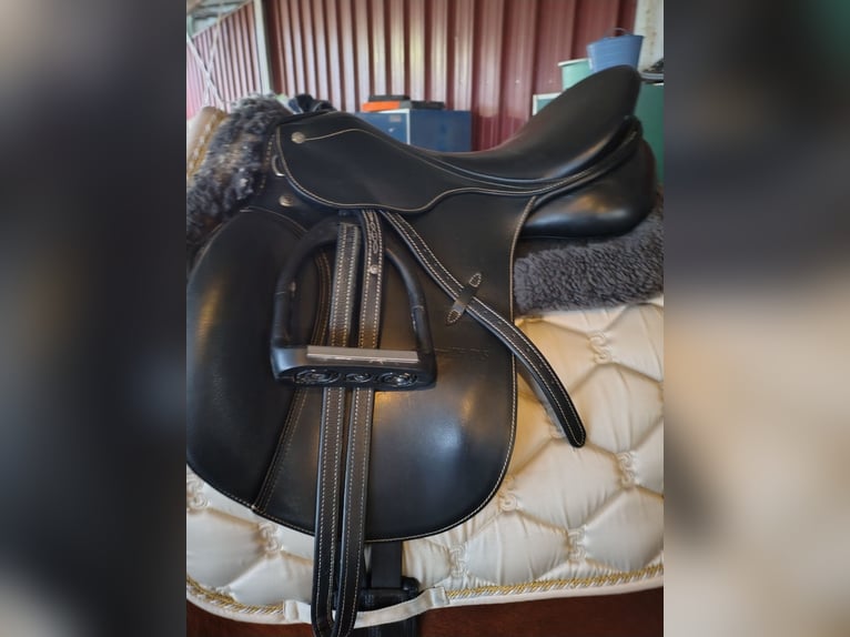 Passier Caprilli DS 17,5