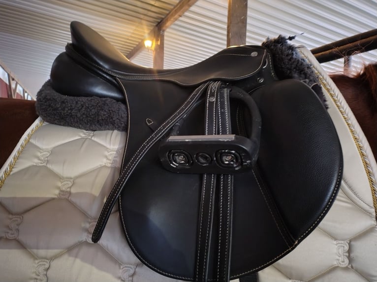 Passier Caprilli DS 17,5