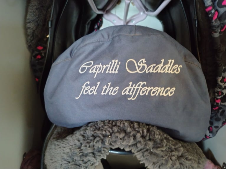 Passier Caprilli DS 17,5