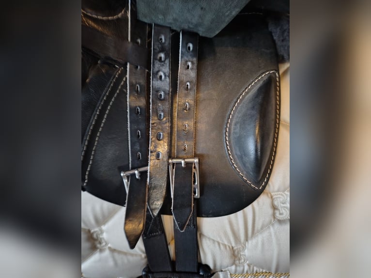 Passier Caprilli DS 17,5