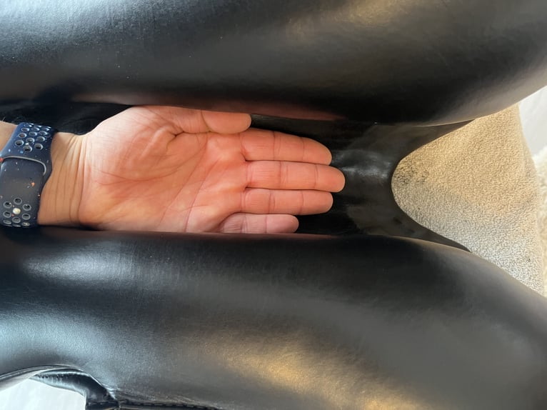 Passier Eventing 17 doubliert lange strupfen Klettpauschen