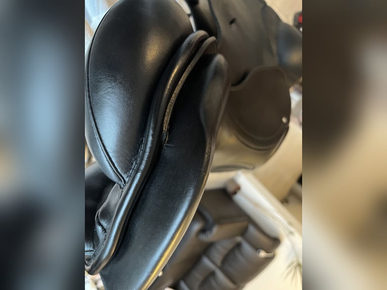 Passier Eventing 17 doubliert lange strupfen Klettpauschen