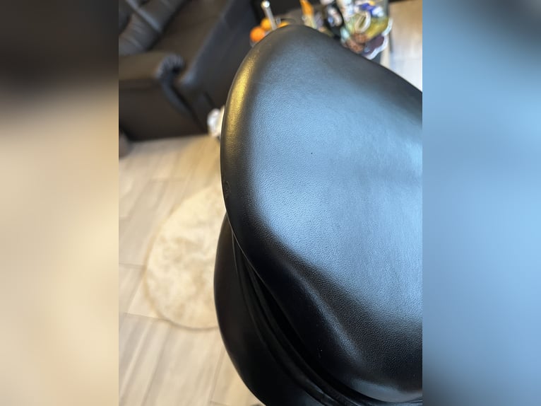 Passier Eventing 17 doubliert lange strupfen Klettpauschen