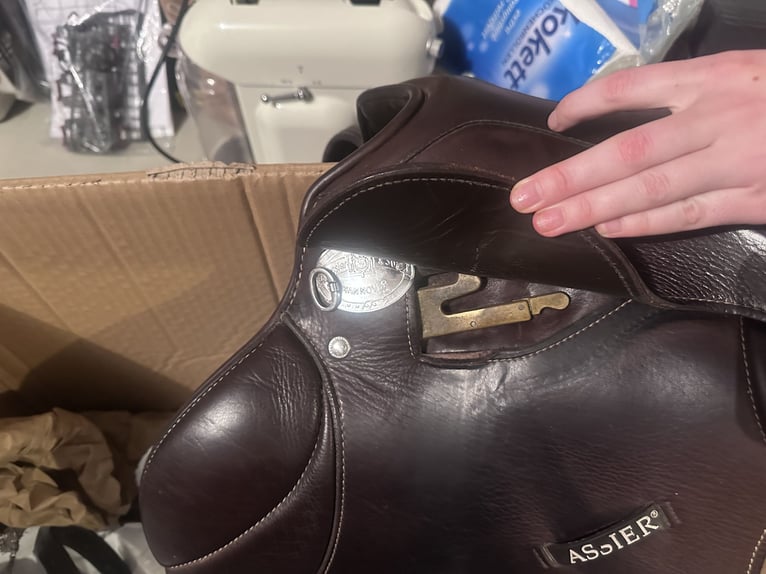 Passier Ingrid klimke Springsattel 17.5 Zoll