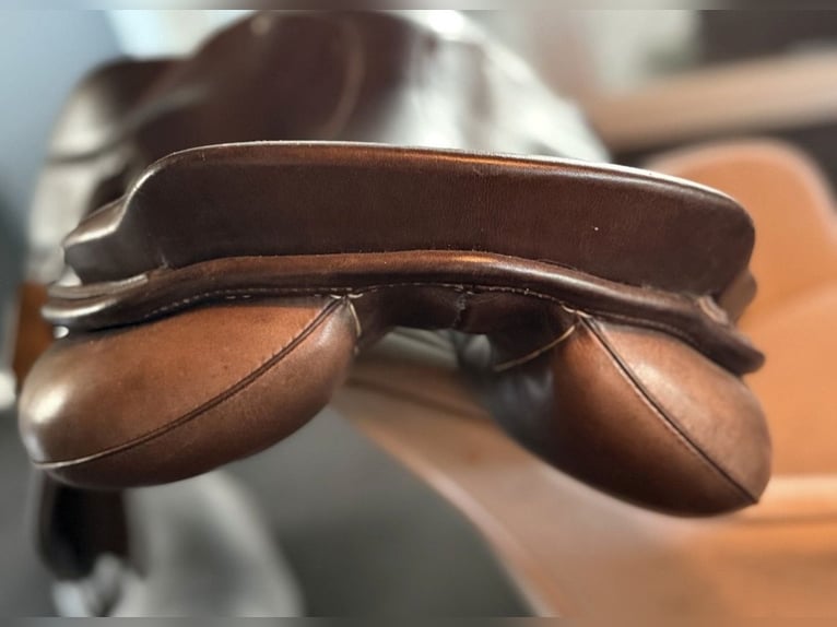 Passier Ingrid klimke Springsattel 17.5 Zoll