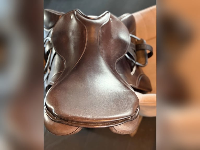Passier Ingrid klimke Springsattel 17.5 Zoll