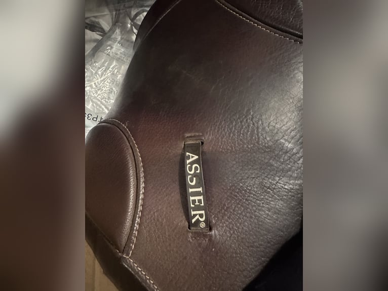 Passier Ingrid klimke Springsattel 17.5 Zoll