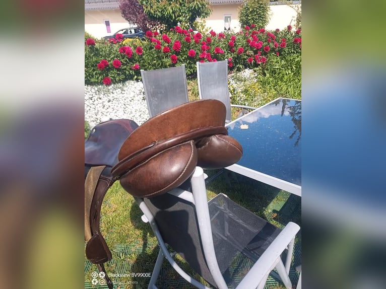 Passier Military 2, braun, Monoblatt, Spring/ Eventingsattel