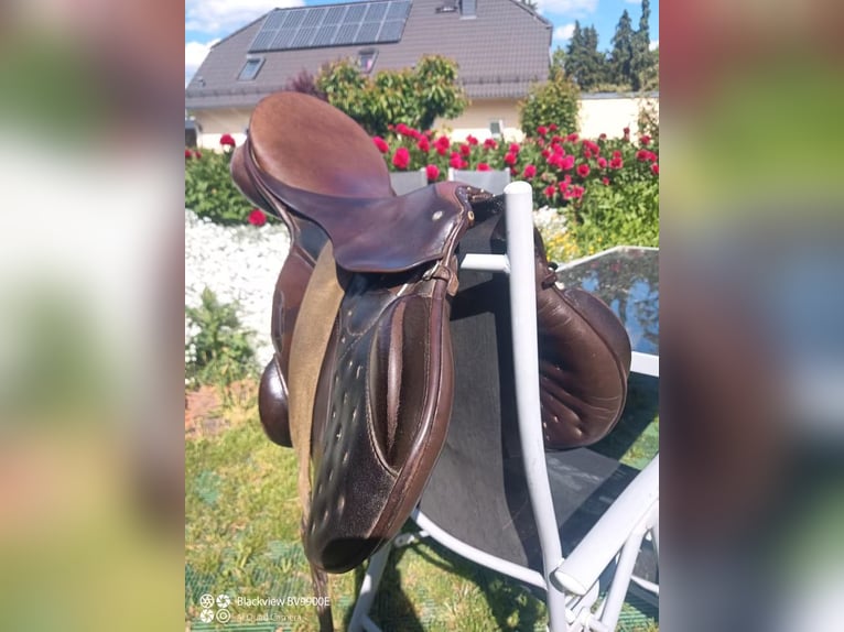 Passier Military 2, braun, Monoblatt, Spring/ Eventingsattel