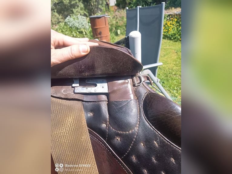 Passier Military 2, braun, Monoblatt, Spring/ Eventingsattel