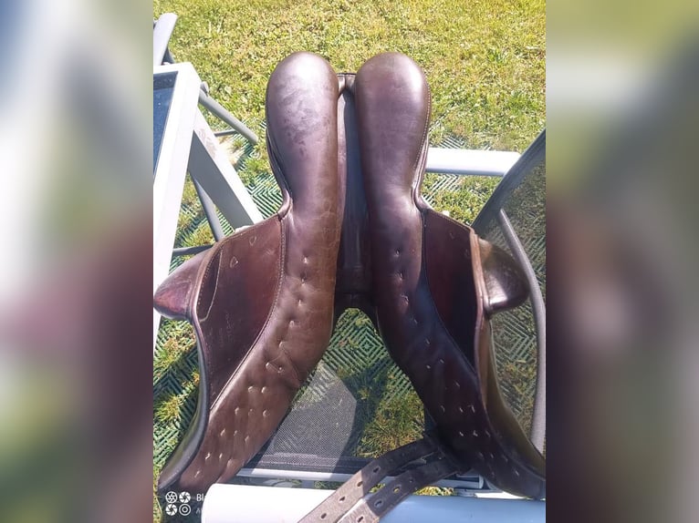 Passier Military 2, braun, Monoblatt, Spring/ Eventingsattel