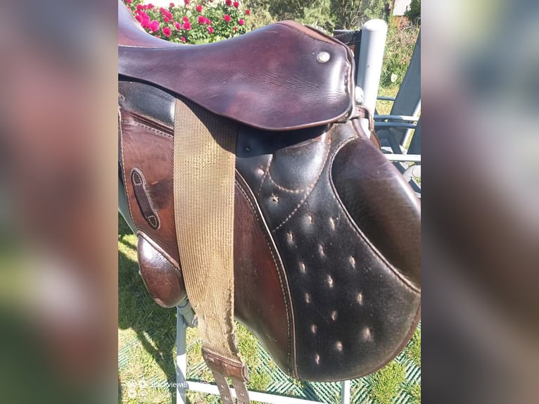 Passier Military 2, braun, Monoblatt, Spring/ Eventingsattel