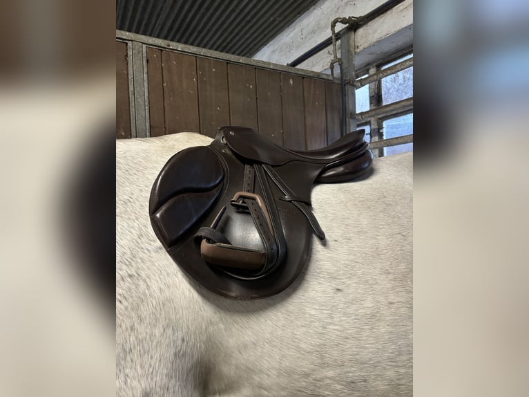 Passier Springsattel mit Zubehör 