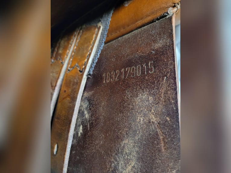 Perstige Appaloosa 18/32