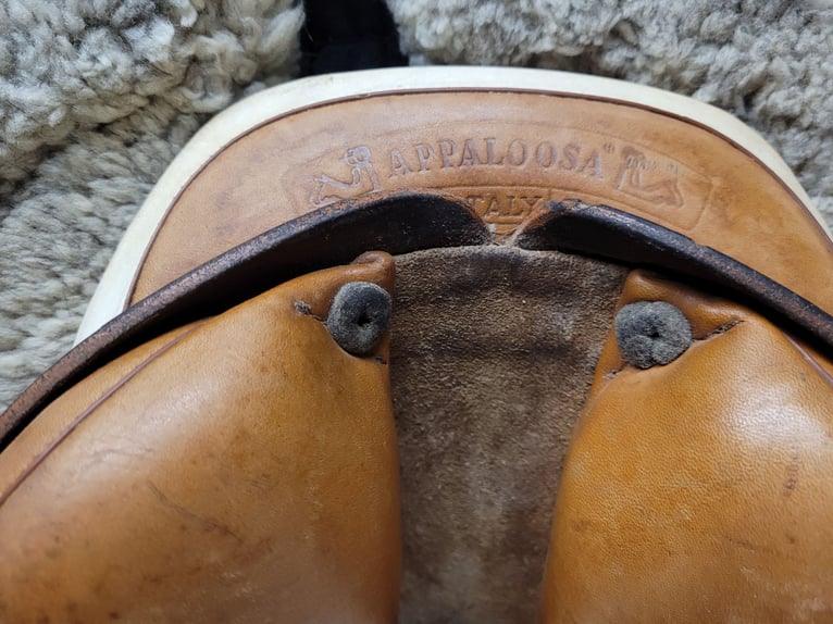 Perstige Appaloosa 18/32