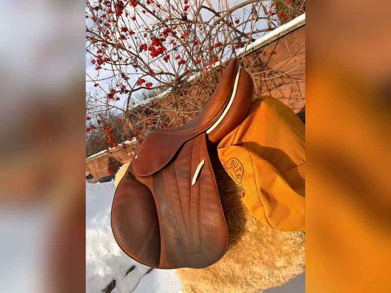 Premium 17” Ledersattel – Elegante Handwerkskunst & Höchster Komfort