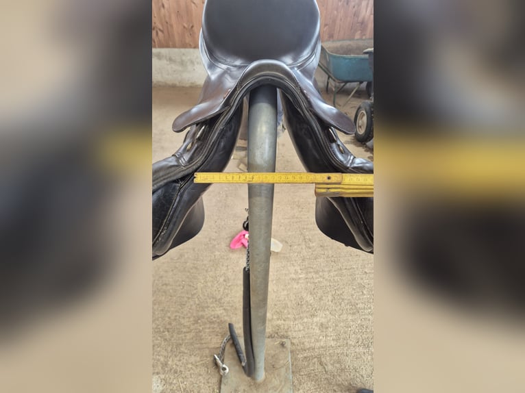 Presitge Elastic Professional