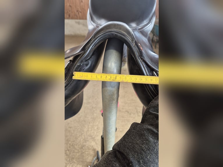 Presitge Elastic Professional