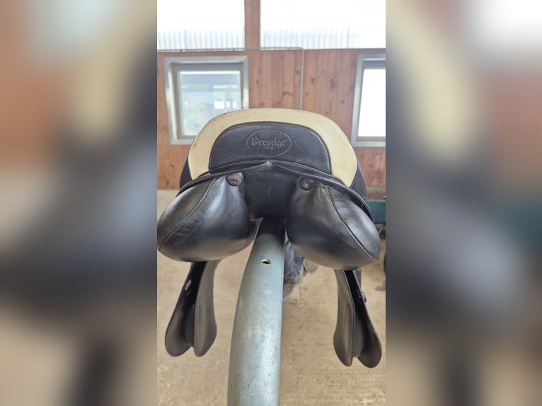 Presitge Elastic Professional