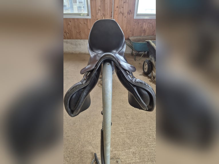 Presitge Elastic Professional