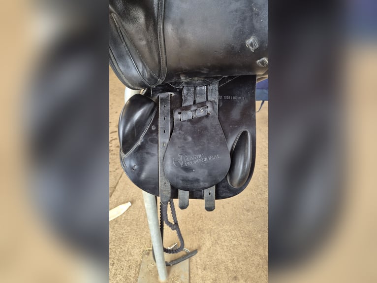 Presitge Elastic Professional