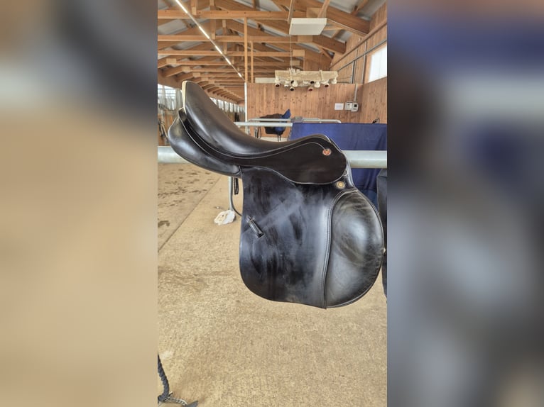 Presitge Elastic Professional