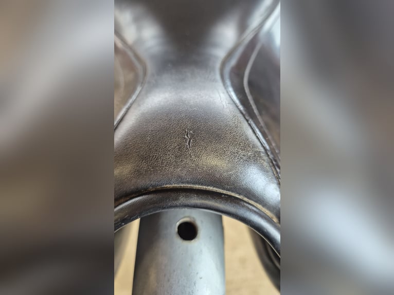 Presitge Elastic Professional