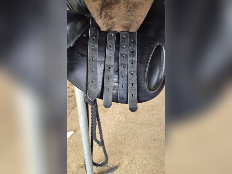 Presitge Elastic Professional