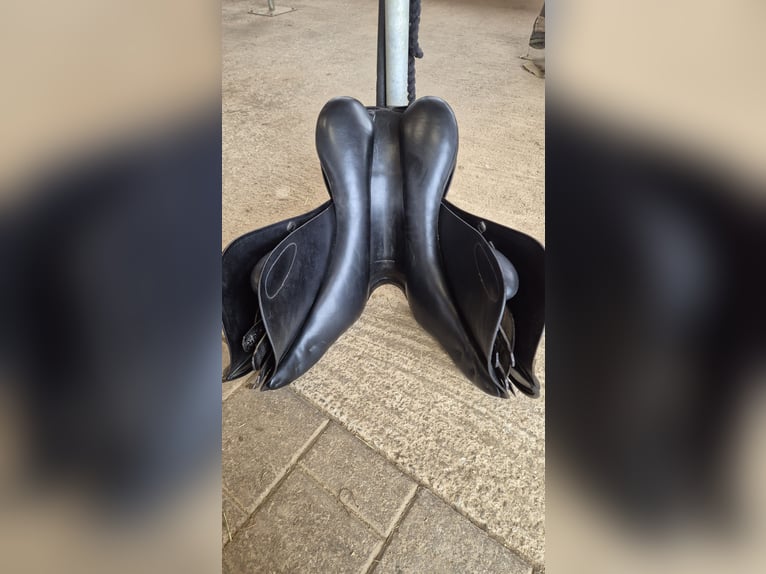 Presitge Elastic Professional