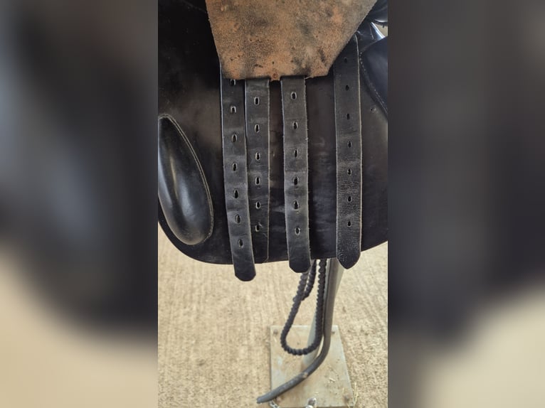 Presitge Elastic Professional