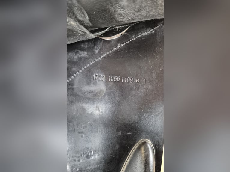 Presitge Elastic Professional