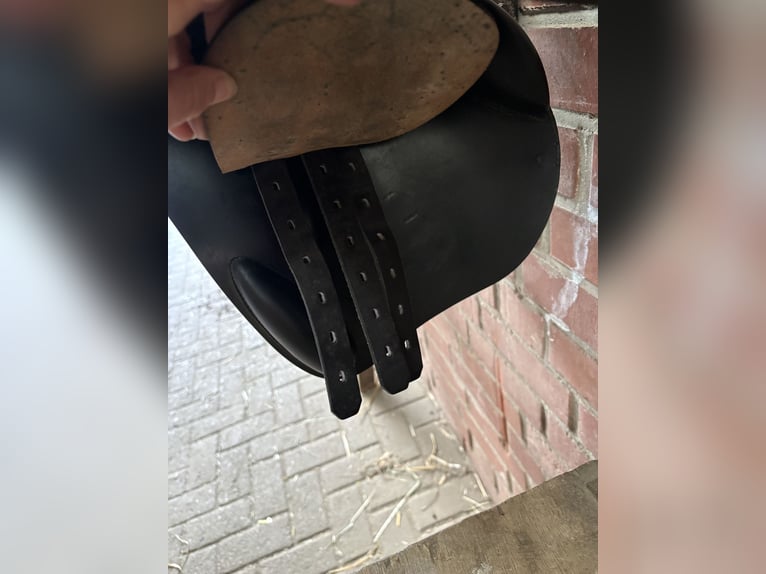 Prestige Elastic Professional 17 32