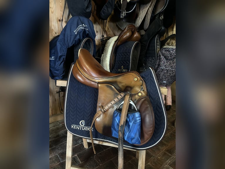 Prestige elastic professional 17 33