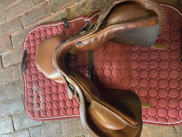 Prestige elastic professional 17 33