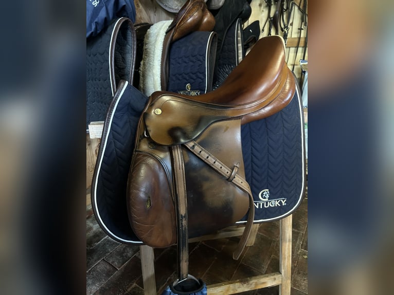 Prestige elastic professional 17 33