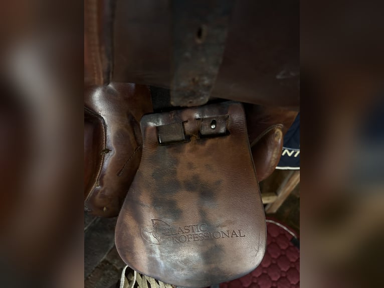 Prestige elastic professional 17 33