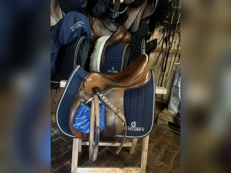 Prestige elastic professional 17 33