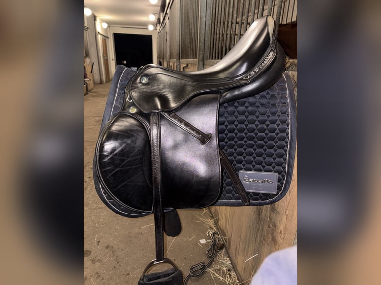 Prestige elastic professional 