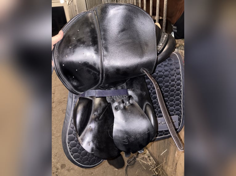 Prestige elastic professional 