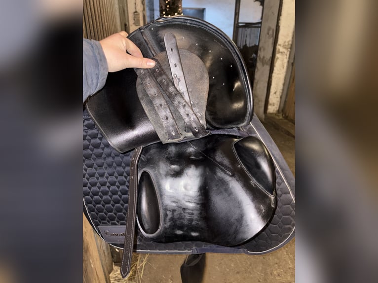 Prestige elastic professional 