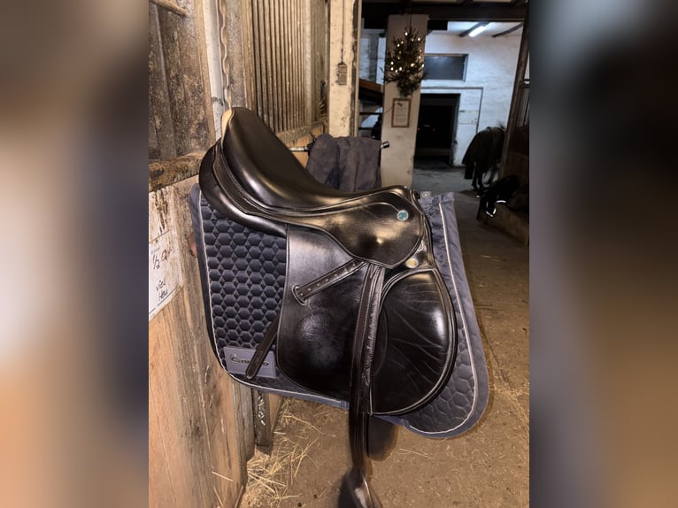 Prestige elastic professional 