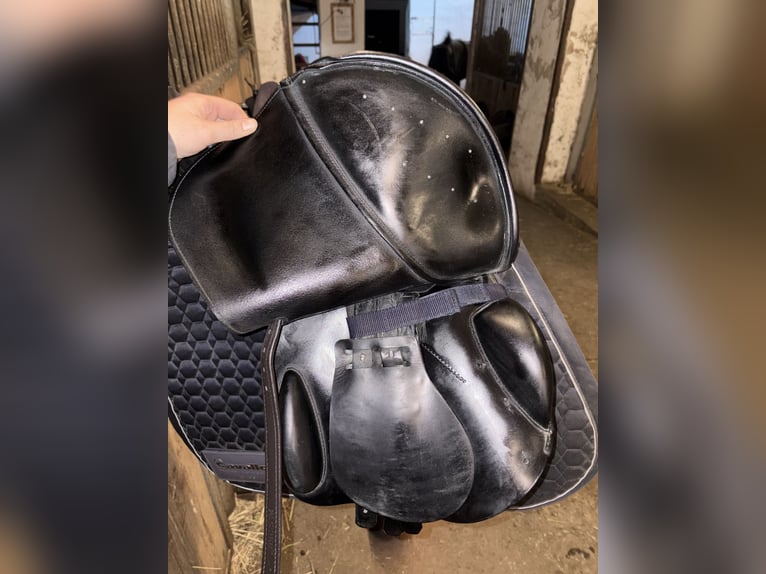 Prestige elastic professional 