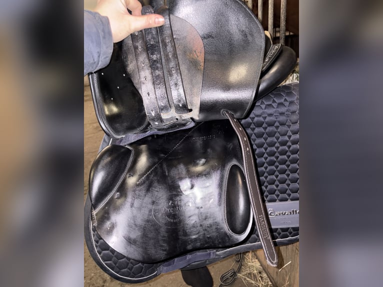 Prestige elastic professional 